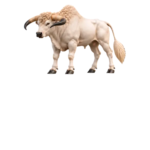 Cretan Bull, three-quarter view