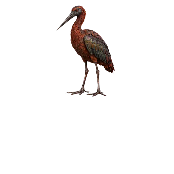 Stymphalian Bird, three-quarter view